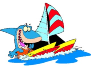 Sticker Custom Preview Image #095570 Outdoor Recreation Beach Water Sharkon Catamaran