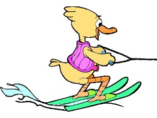 Sticker Custom Preview Image #095891 Outdoor Recreation Beach Water Water Skiing Duck1