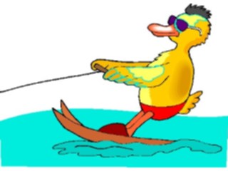 Sticker Custom Preview Image #095892 Outdoor Recreation Beach Water Water Skiing Duck2