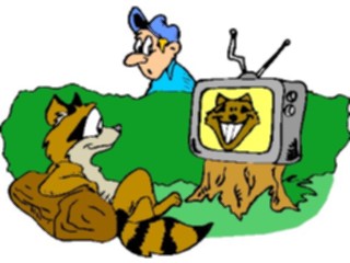 Sticker Custom Preview Image #096099 Outdoor Recreation Camping Raccoon Watching T V