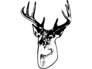 Sticker Custom Preview Image #097053 Outdoor Recreation Hunting Deer Head