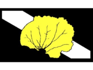 Sticker Custom Preview Image #097167 Outdoor Recreation Scuba Flag Seafan