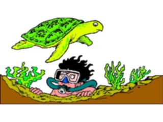 Sticker Custom Preview Image #097279 Outdoor Recreation Scuba Scuba Diver Turtle