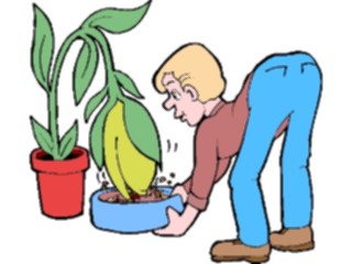 Sticker Custom Preview Image #098568 People Cartoons Feeding Plant