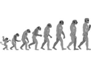 Sticker Custom Preview Image #101179 People General Evolutionary Chain