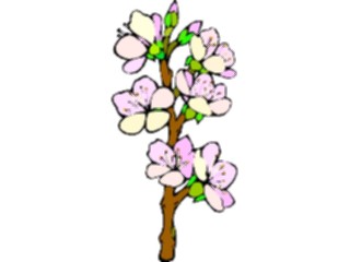 Sticker Custom Preview Image #103062 Plants Flowers Flowers Apricot Flowers2