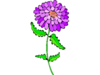 Sticker Custom Preview Image #103063 Plants Flowers Flowers Aster1