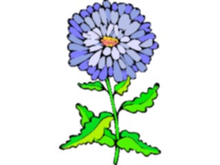 Sticker Custom Preview Image #103064 Plants Flowers Flowers Aster2