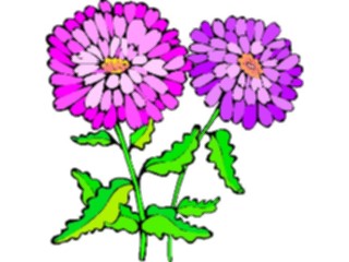 Sticker Custom Preview Image #103066 Plants Flowers Flowers Asters1