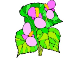 Sticker Custom Preview Image #103070 Plants Flowers Flowers Begonia1