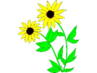 Sticker Custom Preview Image #103079 Plants Flowers Flowers Blackeyed Susan