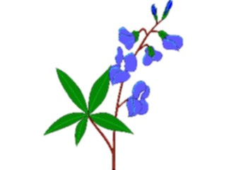 Sticker Custom Preview Image #103082 Plants Flowers Flowers Blue Bonnet