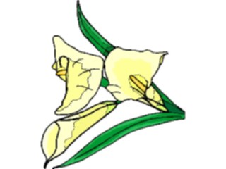 Sticker Custom Preview Image #103105 Plants Flowers Flowers Calla Lily2