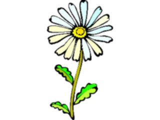 Sticker Custom Preview Image #103112 Plants Flowers Flowers Camomile4