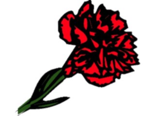 Sticker Custom Preview Image #103120 Plants Flowers Flowers Carnation2