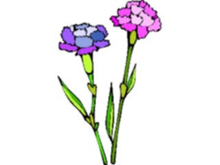 Sticker Custom Preview Image #103124 Plants Flowers Flowers Carnation6