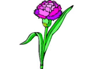Sticker Custom Preview Image #103125 Plants Flowers Flowers Carnation7