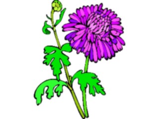 Sticker Custom Preview Image #103135 Plants Flowers Flowers Chrysanthemum2
