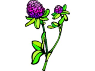 Sticker Custom Preview Image #103139 Plants Flowers Flowers Clover2