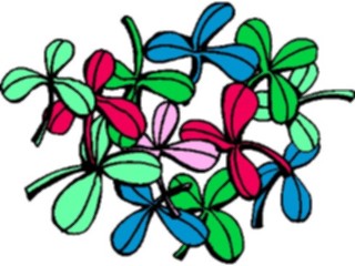 Sticker Custom Preview Image #103141 Plants Flowers Flowers Clover Group