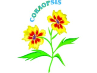 Sticker Custom Preview Image #103148 Plants Flowers Flowers Coraopsis