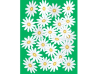 Sticker Custom Preview Image #103178 Plants Flowers Flowers Daisies Background