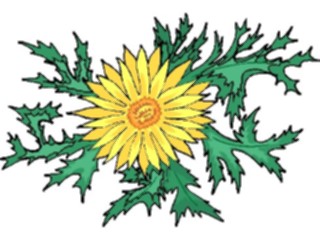 Sticker Custom Preview Image #103190 Plants Flowers Flowers Dandelion10