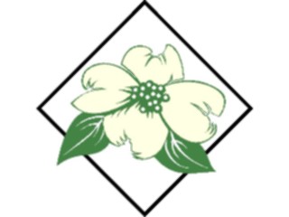 Sticker Custom Preview Image #103197 Plants Flowers Flowers Dogwood1