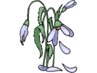 Sticker Custom Preview Image #103204 Plants Flowers Flowers Falling Petals