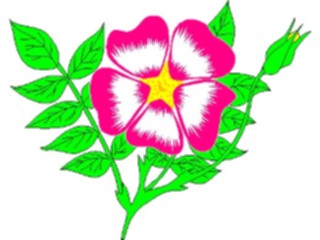 Sticker Custom Preview Image #103217 Plants Flowers Flowers Flower007