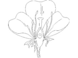 Sticker Custom Preview Image #103219 Plants Flowers Flowers Flower009