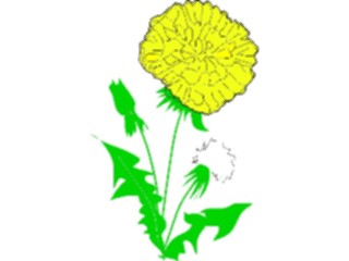 Sticker Custom Preview Image #103229 Plants Flowers Flowers Flower019