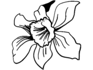 Sticker Custom Preview Image #103238 Plants Flowers Flowers Flower028