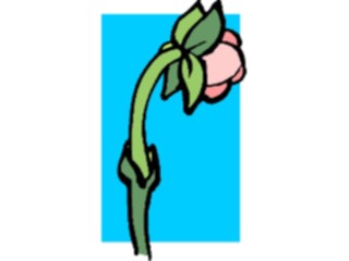 Sticker Custom Preview Image #103241 Plants Flowers Flowers Flower031