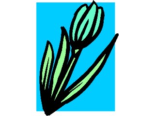 Sticker Custom Preview Image #103244 Plants Flowers Flowers Flower034