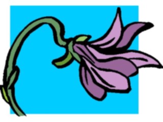 Sticker Custom Preview Image #103250 Plants Flowers Flowers Flower040