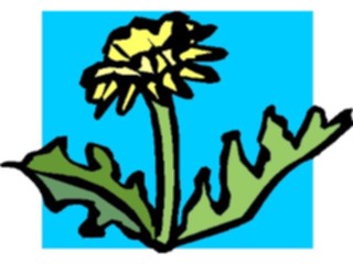 Sticker Custom Preview Image #103252 Plants Flowers Flowers Flower042