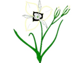 Sticker Custom Preview Image #103257 Plants Flowers Flowers Flower047