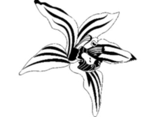 Sticker Custom Preview Image #103259 Plants Flowers Flowers Flower049