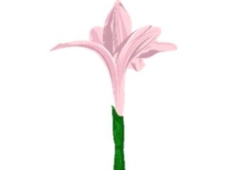 Sticker Custom Preview Image #103269 Plants Flowers Flowers Flower059