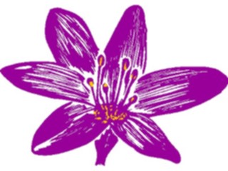 Sticker Custom Preview Image #103272 Plants Flowers Flowers Flower062