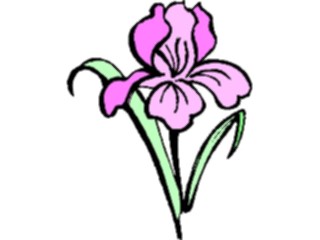 Sticker Custom Preview Image #103329 Plants Flowers Flowers Flower119