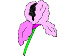 Sticker Custom Preview Image #103332 Plants Flowers Flowers Flower122