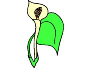 Sticker Custom Preview Image #103333 Plants Flowers Flowers Flower123