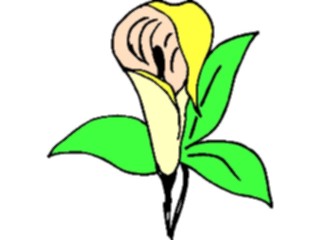 Sticker Custom Preview Image #103334 Plants Flowers Flowers Flower124