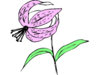 Sticker Custom Preview Image #103339 Plants Flowers Flowers Flower129