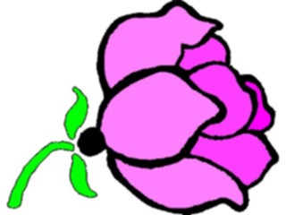 Sticker Custom Preview Image #103345 Plants Flowers Flowers Flower135