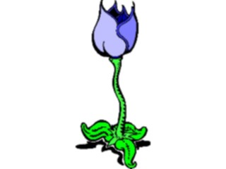 Sticker Custom Preview Image #103351 Plants Flowers Flowers Flower141