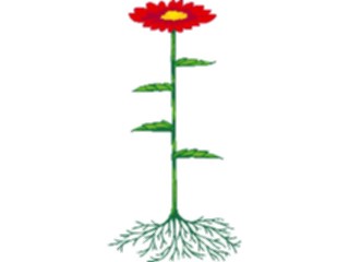 Sticker Custom Preview Image #103359 Plants Flowers Flowers Flower149