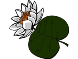 Sticker Custom Preview Image #103367 Plants Flowers Flowers Flower157